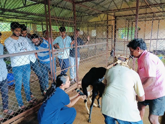Goat Semen Collection And Insemination Demonstration To Farmers Or SHG Or LSS Or LDO